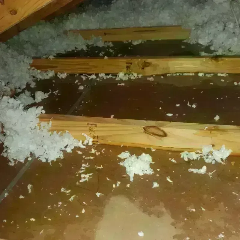 Attic Water Damage in Van Zandt County, TX